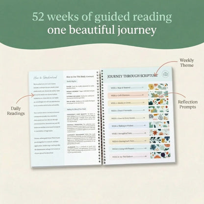 Bible In a Year: 52 Week Study
